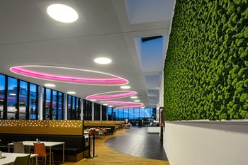 Blickfang in der Kantine mit großen Fensterflächen und Oberlichtern für den Tageslichteinfall sind großformatige ringförmige Deckenlleuchten mit farbigem Licht. Sie werden intelligent mit einem Lichtmanagementsystem gesteuert.