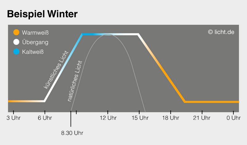 Planungsbeispiele fr Lichtplaner | licht.de