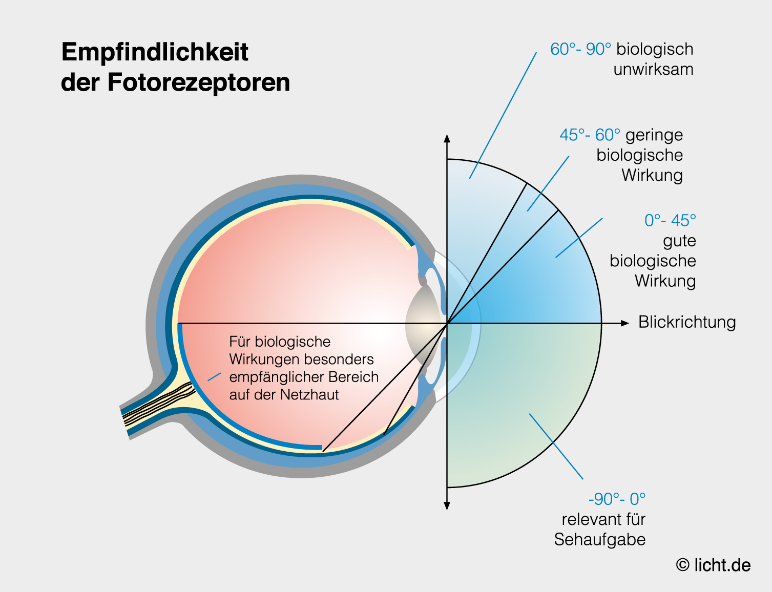 Dritter Lichtrezeptor: licht.de